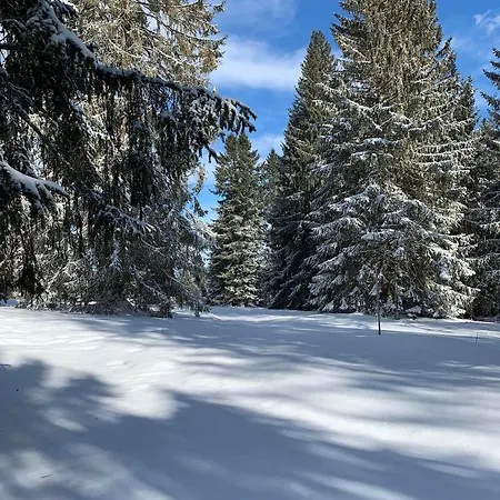 Bellellay Jura 아파트