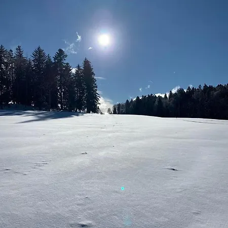 Bellellay Jura 아파트